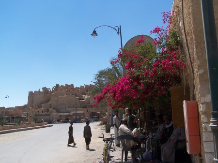 bougainvillers et citadelle