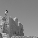 sur le temple...